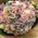 Pink & White Roses Roses Bouquet !!! (100 stems with greens).Special