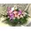 Basket with Orchids & Season Flowers.