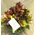 Happy  Spring with Joyful  Flowers in Basket