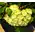 (36) white !!! roses Extra Quality Bouquet !!!