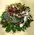 Condolences arrangement with exclusive tropical and seasonal flowers