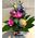 Roses "Rainbow" vase (11) stems with Greens.