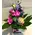 Roses "Rainbow" vase (11) stems with Greens.