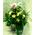(21) roses bouquet (creme white colors) with exclusive greens!!!