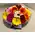 (20) Germini - Gerberas Bouquet + Vase
