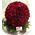"Πρωτάθλημα Λουλουδιών Με Μπάλα (διαμ. περ. 45εκ.) Από Κόκκινα Τριαντάφυλλα"