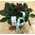 Saint Paulia  plant in fine ceramic pot!!! (only for Athens & Suburbs)