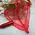 Valentine Hamper !!!