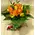 (21) roses in glass with colored sand decoration !