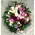 Paeonias (50)  stems & Pink Roses  (30)  stems Exclusive  Bouquet.