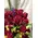 Exclusive Ecuador Roses 60+  stems in Heavy Clear Pyramid Glass Vase (height +70cm).