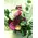 spring bouquet