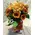 Glass vase tulips flower arrangement. Random Colors !!! Exclusive.