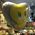 Μπαλόνι με ήλιο "Tweety Jumbo size!!!!