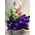 Arrangement with vanda (or phalaenopsis - cymbidium) orchids +Decoration. Exclusive !!!