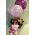 Exclusive arrangement with flowers, X-large teddy bear and helium balloon