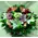 Week Offer Arrangement Roses Red Upper Class + Brassicas + Waxed Pears