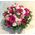 Ζωντανή Άνοιξη με Ροζ Λουλούδια σε Καλάθι Πολυτελές