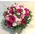 Pinky Spring with Joyful  Flowers in Basket Exclusive