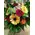 Season flowers bouquet (10) stems - Random Varieties - Random Colors!