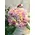 Pink & White Roses Roses Bouquet !!! (100 stems with greens).Special
