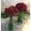 Red roses (100) stems bouquet in glass vase!!! (can be [2] vases with [100] total roses) !!!