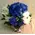 Arrangement of flowers for new born baby + stick balloon + teddy bear- Exclusive!!!