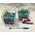 Air Plants tillandsias in glass vase with decoration. !!! (pair 2 vases)