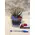 Air Plants tillandsias in glass vase with decoration.