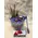 Air Plants tillandsias in glass vase with decoration.