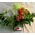 Multi colored flowers in basket