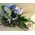 Arrangement of flowers for new born baby