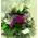 Arrangement in vase with decorative colored sand layers!!! Exclusive Flowers !!!