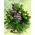 Arrangement in vase with decorative colored sand layers!!! Exclusive Flowers !!!