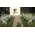 Wedding flower & candles decoration Exterior corridor.