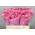 Pink or White Roses (40) stems.Super Week Offer .Super Week Offer