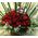 "Κόκκινα Τριαντάφυλλα" !!! Αγάπη χ 60 !!! (1) Πολυτελές Βάζο (60) τεμ..!!! + Αρκούδος + Κρασί + Κάρτα