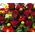Printed roses (20) stems. "Your Message" In Basket Arrangement with Season Flowers. Exclusive.
