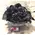 (10) Exclusive Black Waxed  Roses In Vase Arrangement!!! NEW!!! Also available in pink