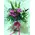Pink or White Roses (40) stems.Super Week Offer  Special In Vase