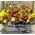Christmas garden in basket