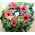 Spring colorful Wreath !!!(on oasis moss base diam.appr. 0,40m)