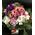 Σύνθεση "Μπάλα" με λουλούδια σε μεγάλο καλάθι.Υπηρεσίες Λουλουδιών για Γιοτ.
