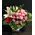 "Grouped" colored flowers in basket. Colored  Spring !!! (35cm basket size)