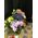 Γυάλινη Πιατέλα με Σύνθεση Λουλουδιών