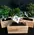 Bonsai plant. Exclusive +30€ in wooden case with water meter.