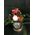 Ανθοπωλείο. Σύνθεση με λουλούδια και τριαντάφυλλα  σε "Πολυτελές" κουτί 15εκ. χ 15εκ.
