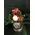 Roses and flowers  in decorative  15 cm χ 15 cm  Divine  Hatbox.