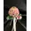 Wedding bouquet. "pinky ball" spray roses.