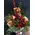 Christmas red flowers in  basket. Celebrating Perfume !!! Exclusive.